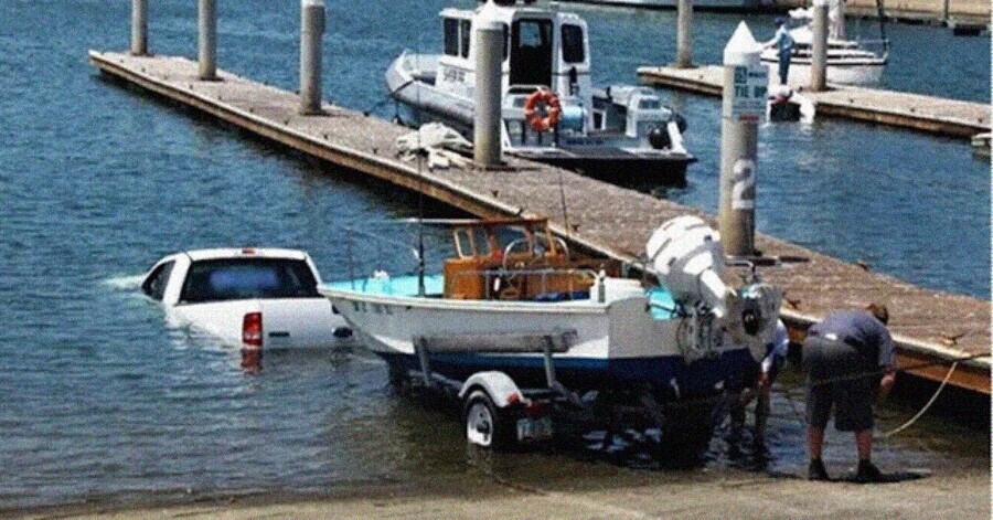 Photos That Will Have Darwin Rolling Over in His Grave