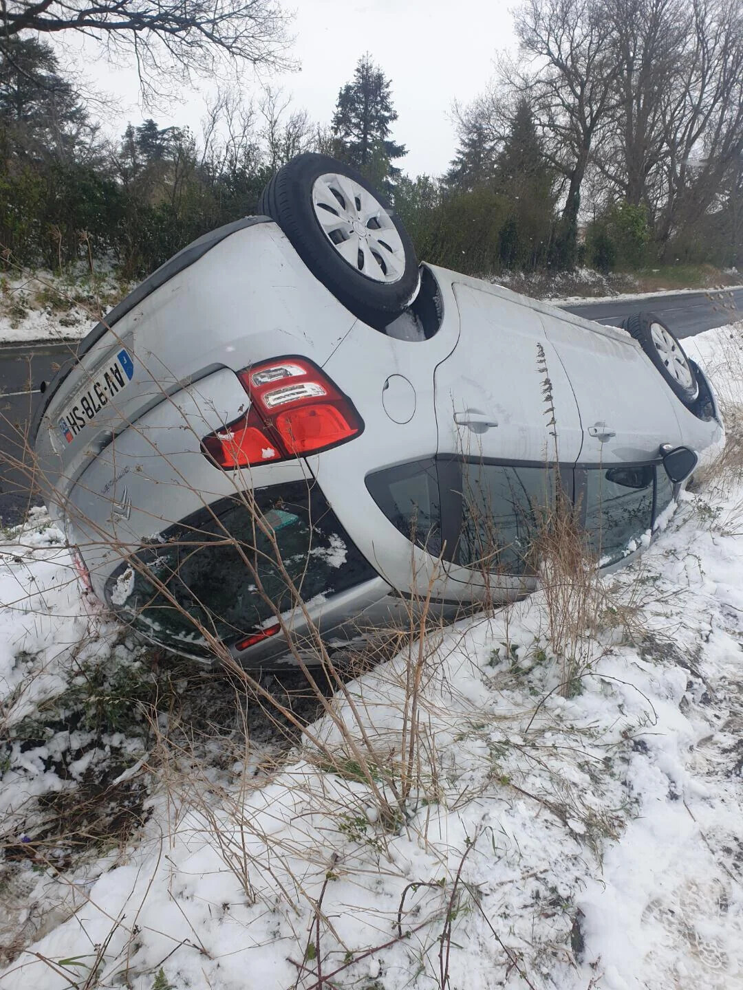 People Who Forgot How to Drive the Second Snow Fell