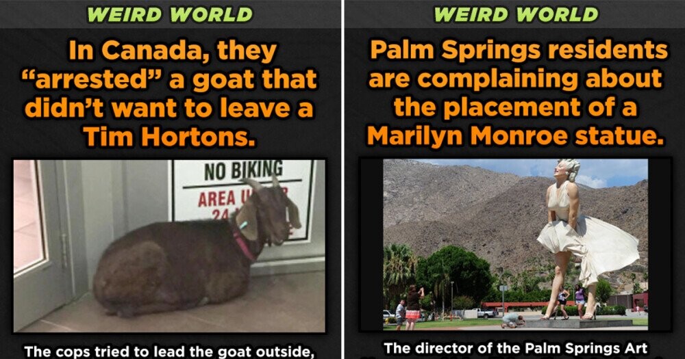 Weird World: 12 Bafflingly Strange Pieces Of Local News | Cracked.com
