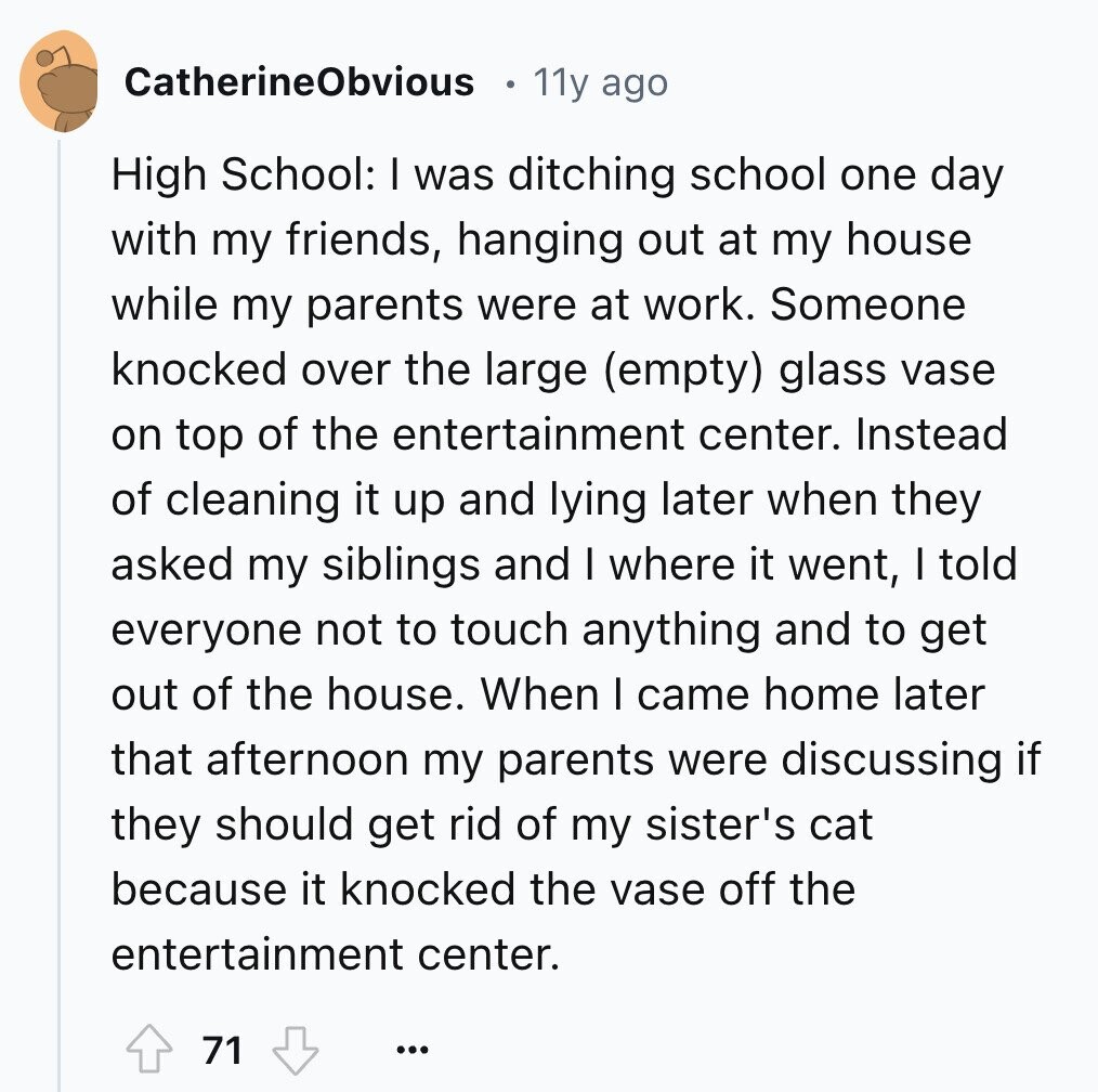 CatherineObvious 11y ago High School: I was ditching school one day with my friends, hanging out at my house while my parents were at work. Someone knocked over the large (empty) glass vase on top of the entertainment center. Instead of cleaning it up and lying later when they asked my siblings and I where it went, I told everyone not to touch anything and to get out of the house. When I came home later that afternoon my parents were discussing if they should get rid of my sister's cat because it knocked the vase off the entertainment center.