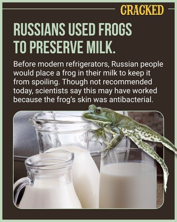 CRACKED RUSSIANS USED FROGS TO PRESERVE MILK. Before modern refrigerators, Russian people would place a frog in their milk to keep it from spoiling. Though not recommended today, scientists say this may have worked because the frog's skin was antibacterial.