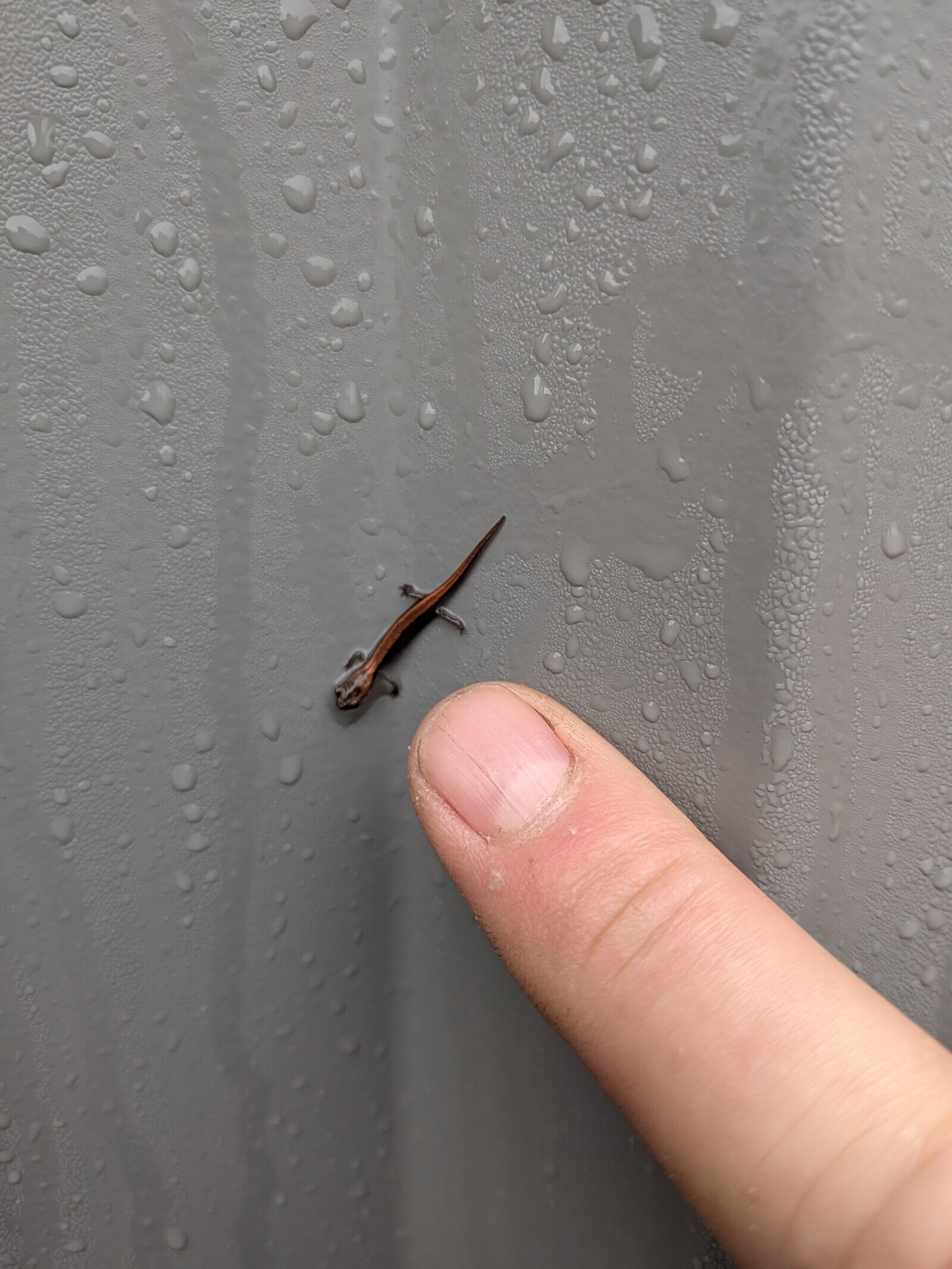 Candid Photos Looking Behind the Scenes at Life