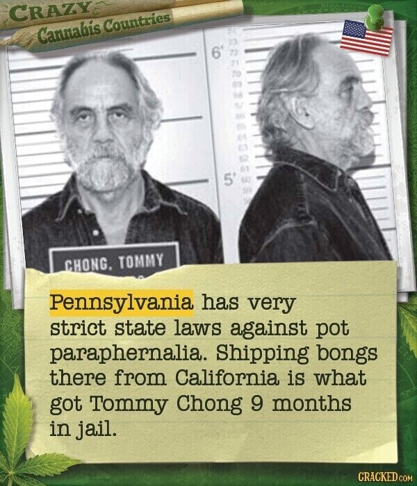 CRAZY Cannabis Countries 6' 5' CHONG. TOMMY Pennsylvania has very strict state laws against pot paraphernalia. Shipping bongs there from California is what got Tommy Chong 9 months in jail. CRACKED.COM