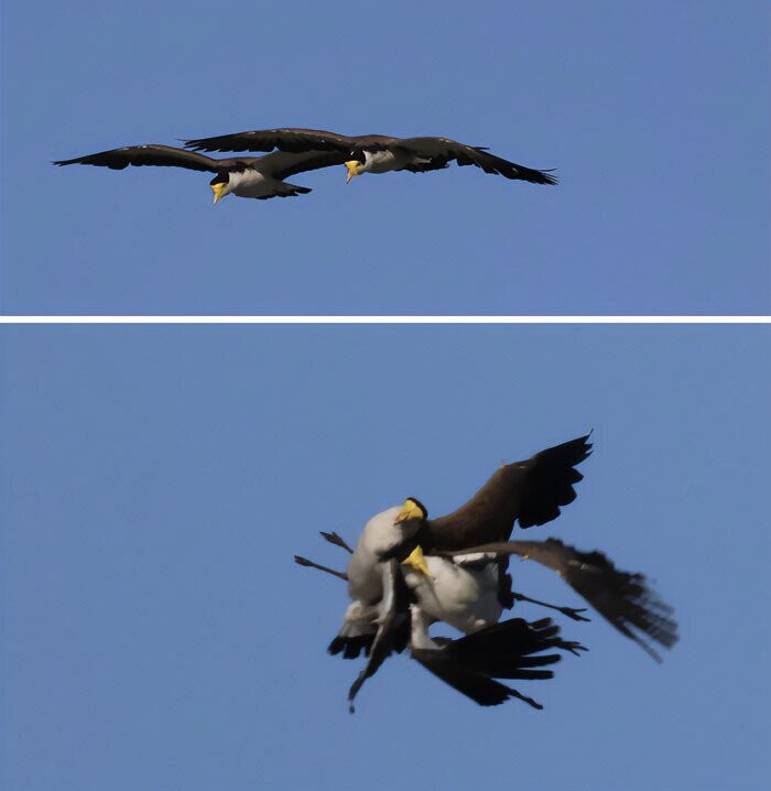 Candid Photos Showing More Than We Need to See