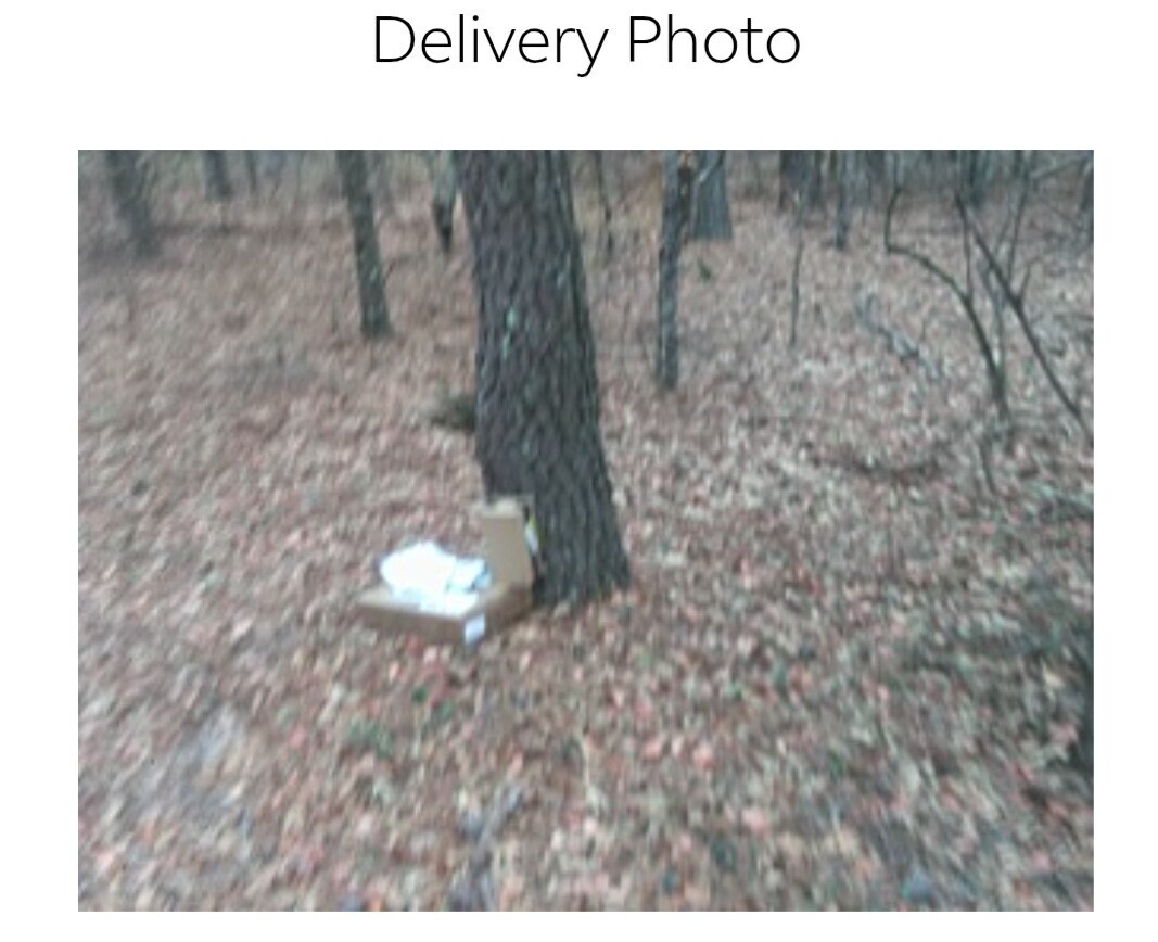Delivery Photo