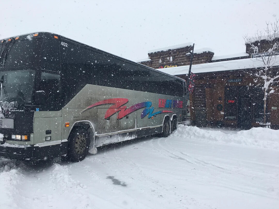 People Who Forgot How to Drive the Second Snow Fell