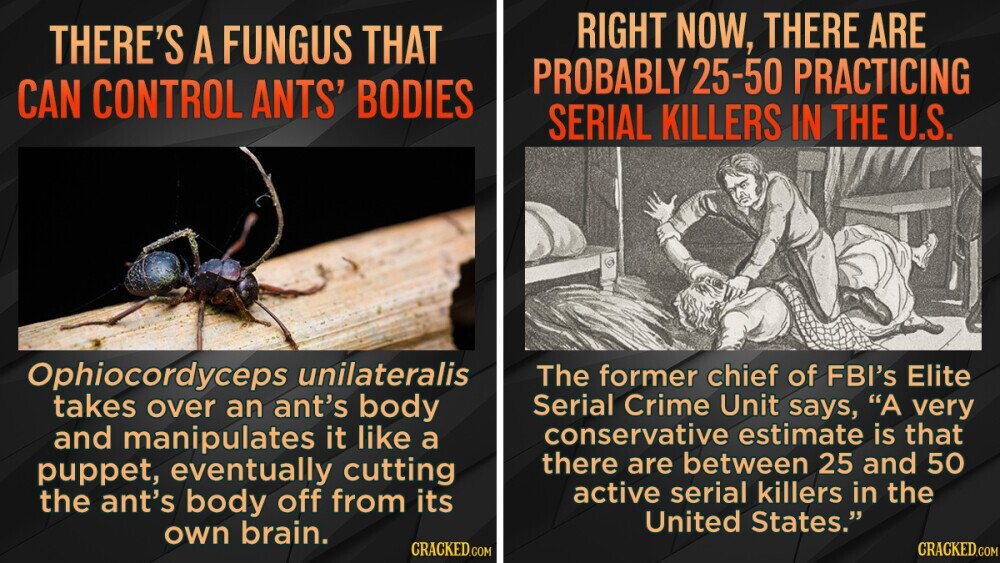 14 Incredibly Disturbing But True Facts | Cracked.com