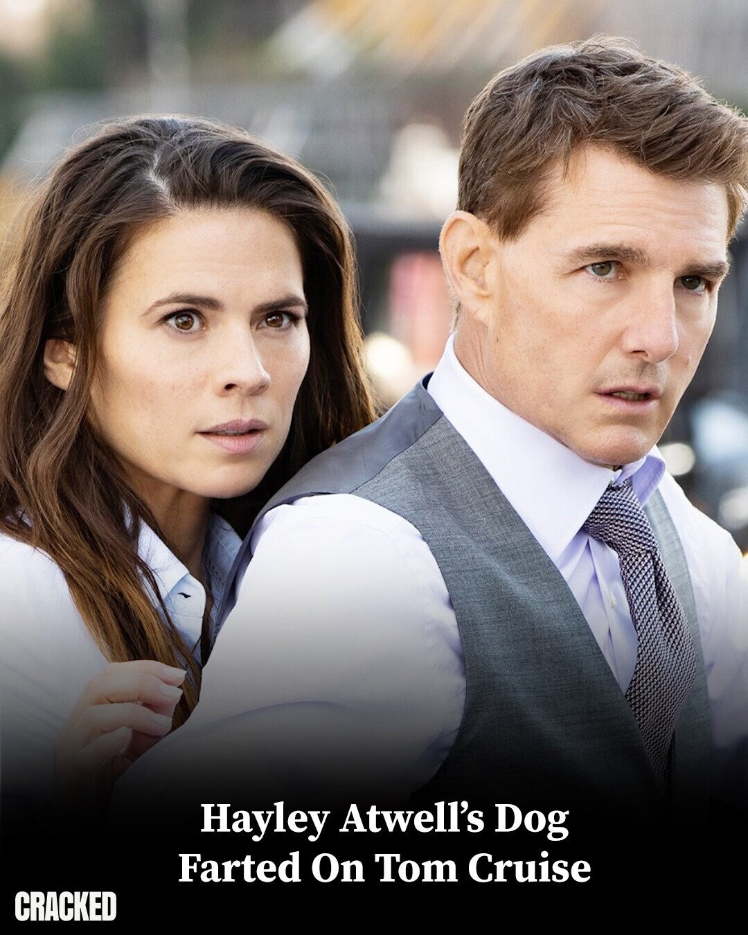 Hayley Atwell's Dog Farted On Tom Cruise CRACKED