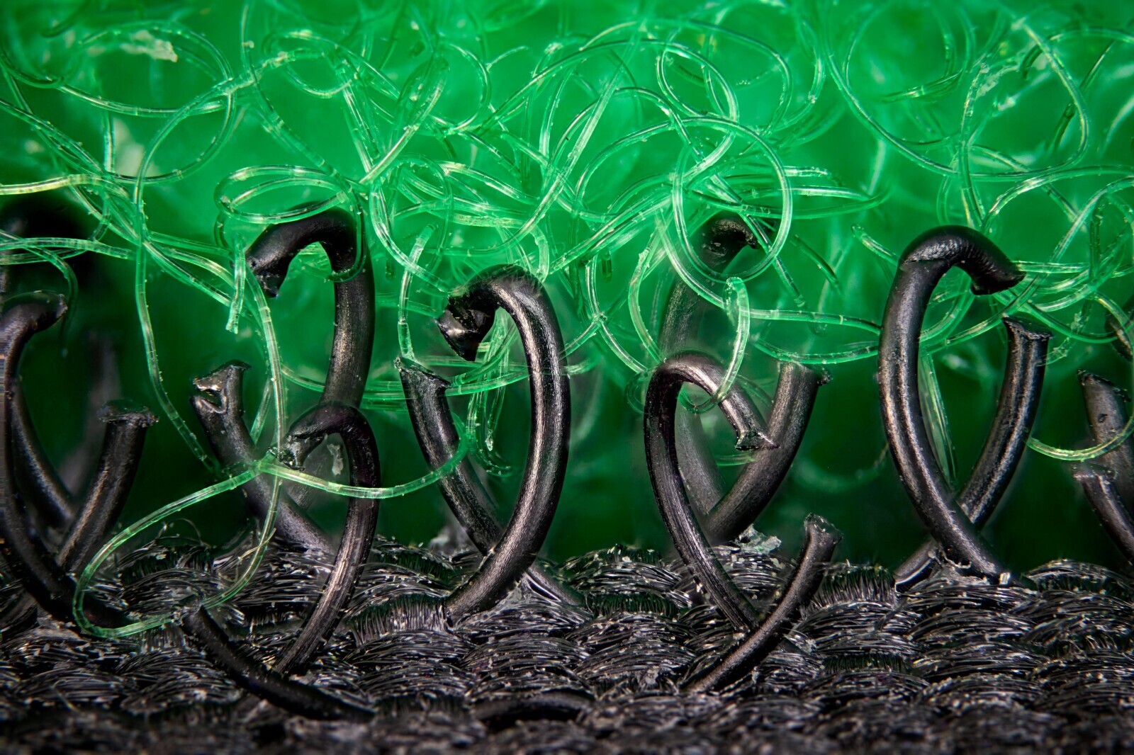 Candid Photos Looking Behind the Scenes at Life