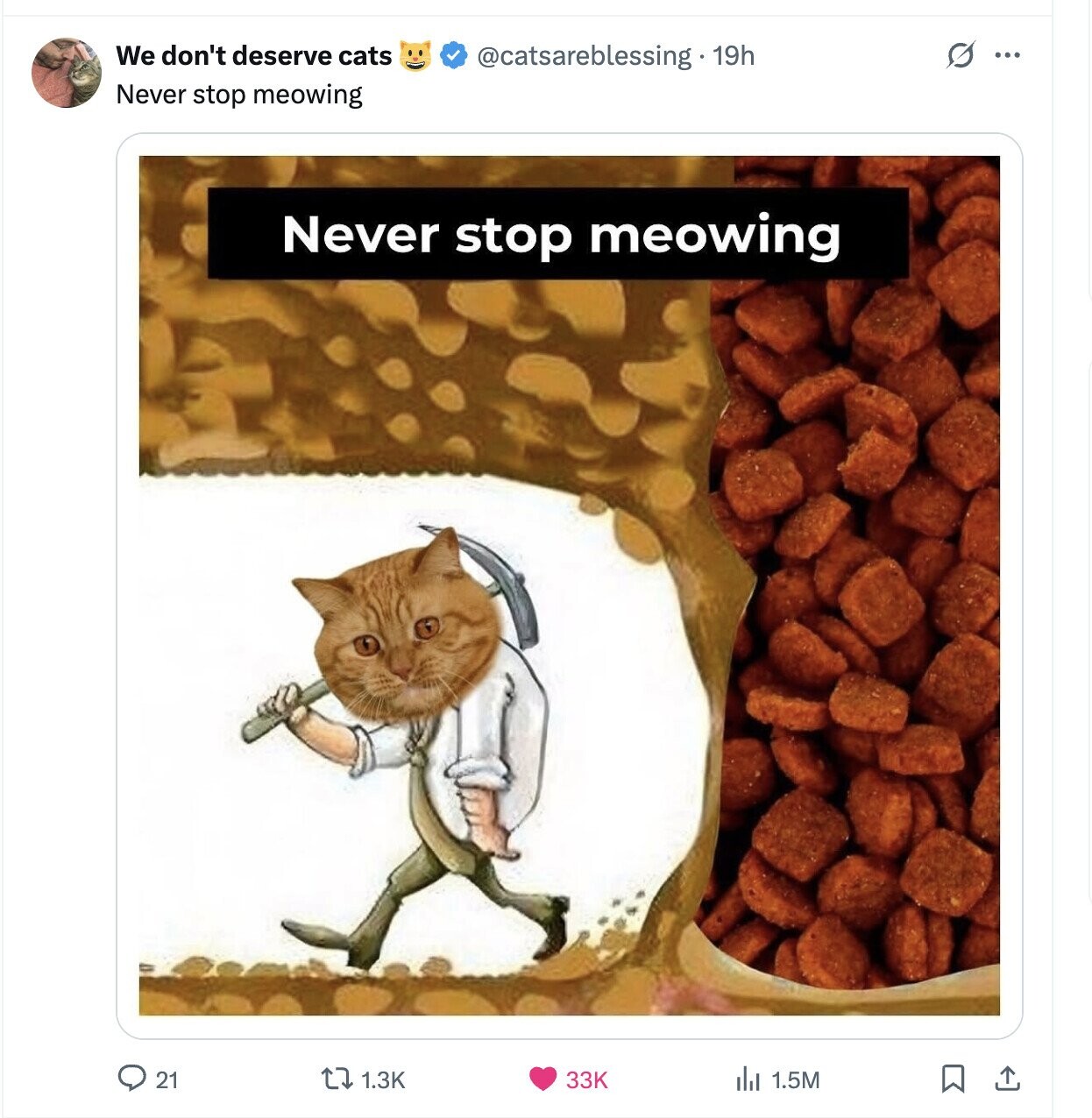 We don't deserve cats S ... @catsareblessing. 19h Never stop meowing Never stop meowing 21 1.3K 33K 1.5M 