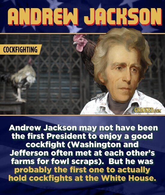 ANDREW JACKSON COCKFIGHTING Andrew Jackson may not have been the first President to enjoy a good cockfight (Washington and Jefferson often met at each other's farms for fowl scraps). But he was probably the first one to actually hold cockfights at the White House.