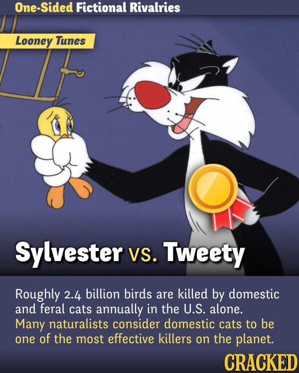 One-Sided Fictional Rivalries Looney Tunes Sylvester VS. Tweety Roughly 2.4 billion birds are killed by domestic and feral cats annually in the U.S. alone. Many naturalists consider domestic cats to be one of the most effective killers on the planet. CRACKED