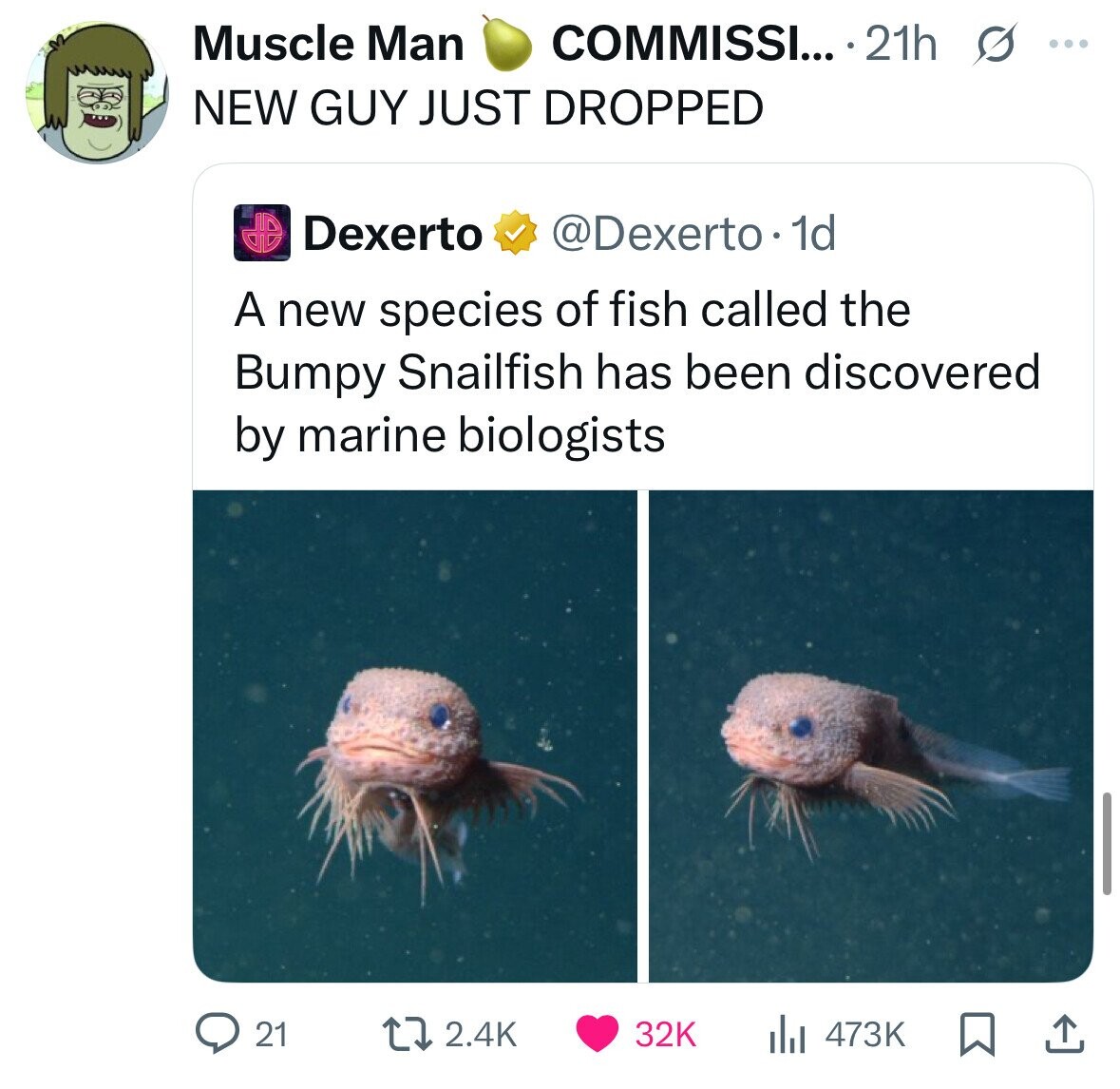 Muscle Man COMMISSI... 21h ... NEW GUY JUST DROPPED Dexerto @Dexerto.1 1d A new species of fish called the Bumpy Snailfish has been discovered by marine biologists 21 2.4K 32K 473K