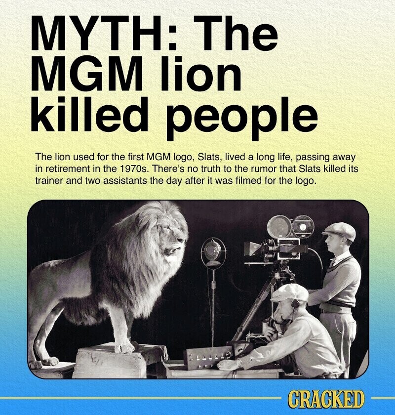 MYTH: The MGM lion killed people The lion used for the first MGM logo, Slats, lived a long life, passing away in retirement in the 1970s. There's no truth to the rumor that Slats killed its trainer and two assistants the day after it was filmed for the logo. CRACKED