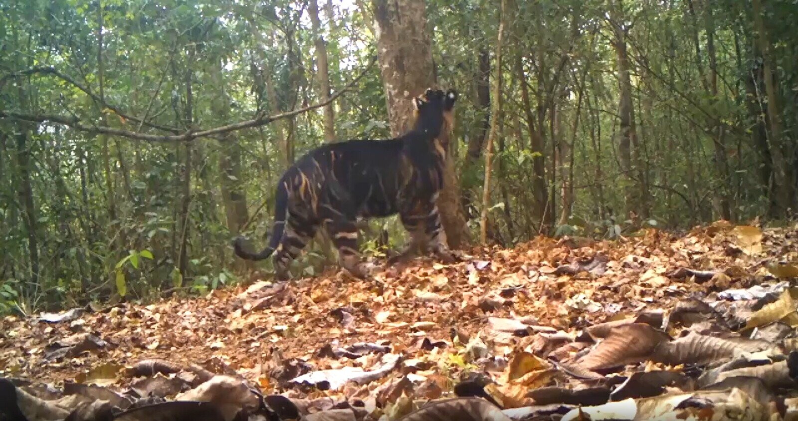 Candid Photos Looking Behind the Scenes at Life