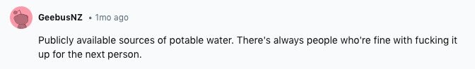 GeebusNZ 1mo ago Publicly available sources of potable water. There's always people who're fine with fucking it up for the next person.