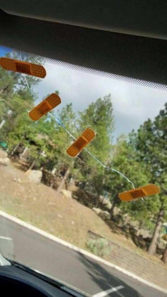 Photos Where Nobody Who Knew What to Do Came Along