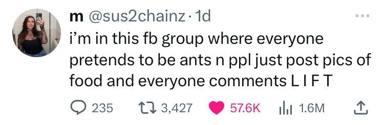 m @sus2chainz 1d i'm in this fb group where everyone pretends to be ants n ppl just post pics of food and everyone comments LIFT 235 3,427 57.6K del 1.6M
