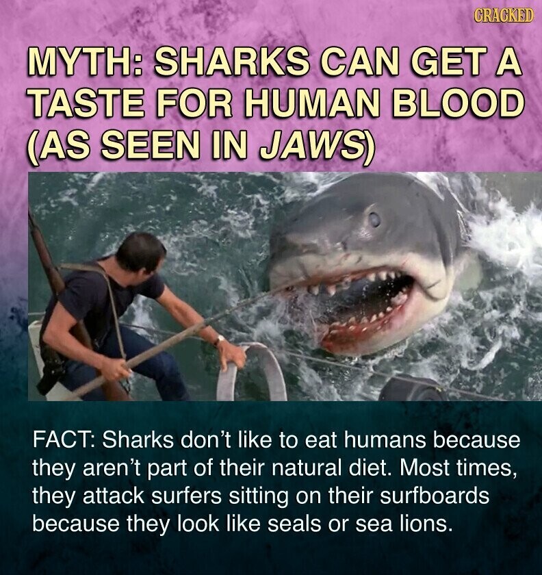 CRACKED MYTH: SHARKS CAN GET A TASTE FOR HUMAN BLOOD (AS SEEN IN JAWS) FACT: Sharks don't like to eat humans because they aren't part of their natural diet. Most times, they attack surfers sitting on their surfboards because they look like seals or sea lions.