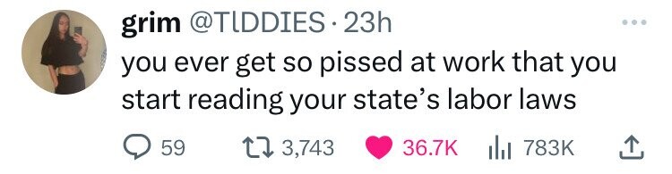 grim @TIDDIES 23h ... you ever get so pissed at work that you start reading your state's labor laws 59 3,743 36.7K del 783K