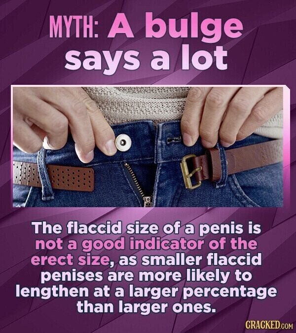 MYTH: A bulge says a lot The flaccid size of a penis is not a good indicator of the erect size, as smaller flaccid penises are more likely to lengthen at a larger percentage than larger ones. CRACKED.COM