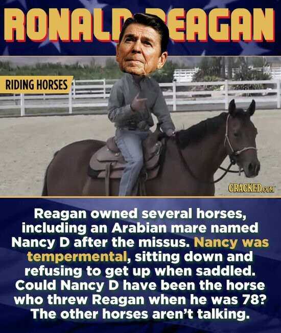 RONALY EAGAN RIDING HORSES CRAGKEDC Reagan owned several horses, including an Arabian mare named Nancy D after the missus. Nancy was tempermental, sitting down and refusing to get up when saddled. Could Nancy D have been the horse who threw Reagan when he was 78? The other horses aren't talking.