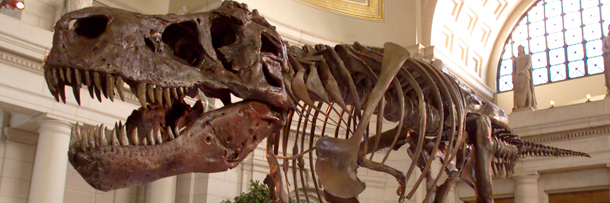 7 Adventures of the World's Biggest Pot Smuggler