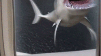 5 Ugly Realities Of Making 'Mockbusters' Like 'Sharknado'