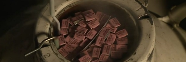 I Trick Bulls Into Gay Sex: 5 Realities Behind Your Beef