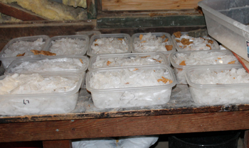 5 Facts About Meth the Anti-Drug Ads Won't Show You