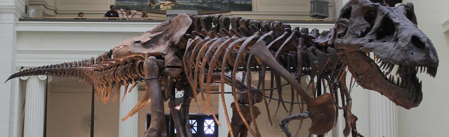 6 Shockingly Brutal Realities Of Working For A Museum