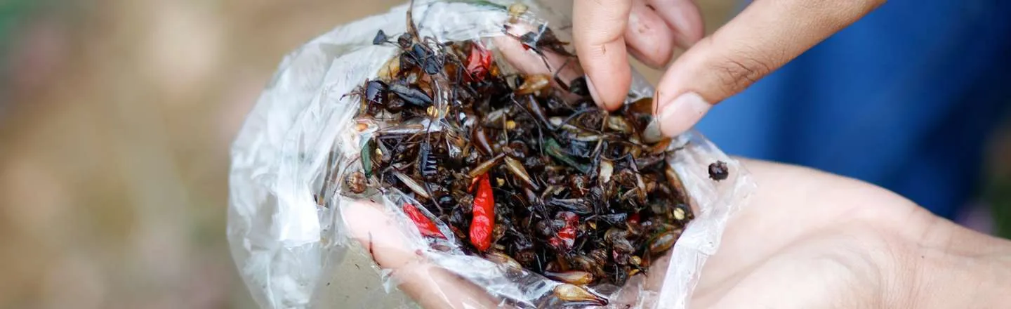 I Farm Crickets, The Future Of Human Food: 7 Insane Truths