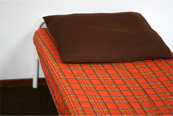 I Hide Illegal Immigrants In Plain Sight: 6 Secret Realities