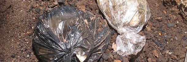 5 Dark Things You Learn About Humanity Cleaning Up Bonnaroo