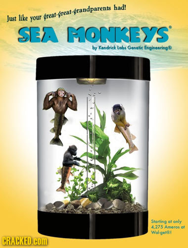 had! Just like your r great-great-grandparents SEA FONKEYS' by Kondrick Labs Genetie Engincering Starting at only 4.275 Ameros at Wal-gekD1 CRACKED.CO