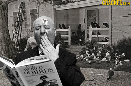 14 Awkward Moments Behind the Scenes of Famous Movies