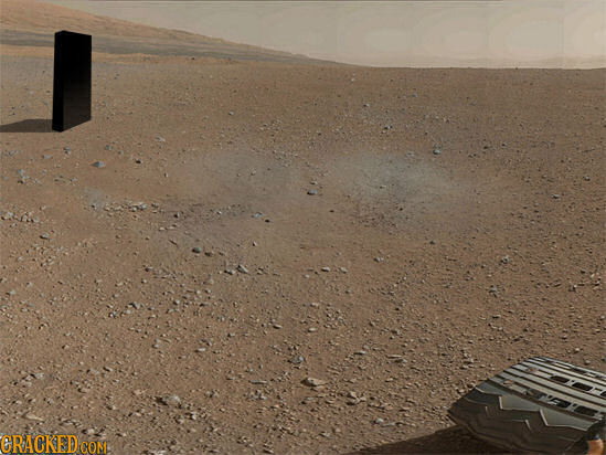 The 20 Most Viral Photos of the Upcoming Year