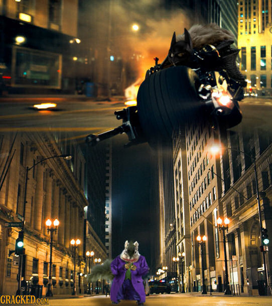 34 Famous Movies That Would Be Better With Animal Actors