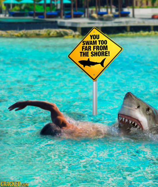 YOU SWAM TOO FAR FROM THE SHORE! CRACKEDCONT