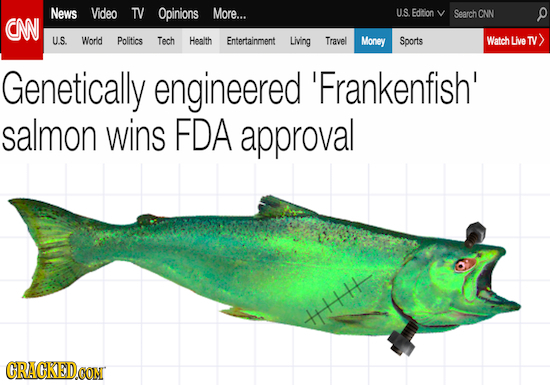 News Video TV Opinions More... U.S. Edition Search ONN CN U.S. World Politics Tech Heaith Entertainment Living Travel Money Sports Watch Live TV Genet
