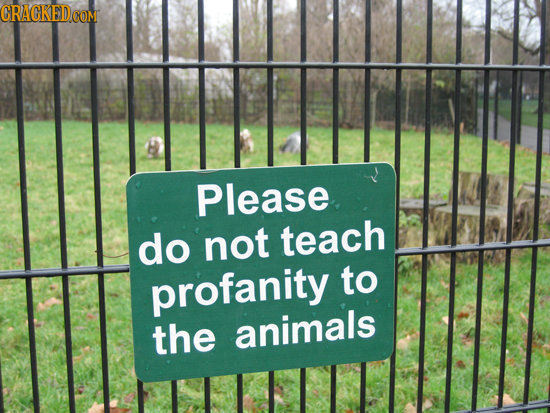CRAGKED Please do not teach profanity to the animals