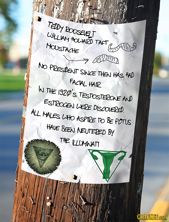 TEDDY ROOSEVELT WLLIAM HOwARD TAFT MOUsTACHE a No PRESDENT SWCE THEN HAS HAD FACIAL HAIR W THE 1320's TESTOSTERONE AND ESTROCEN WERE DLSCOVERED. All M