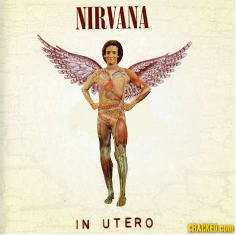 NIRVANA IN UTERO CRACKED.COM