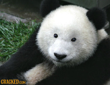 24 Small Things You Don't Miss Until They're Gone