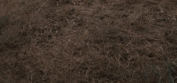 54 Great Movies Combined Into 27 AMAZING Scenes