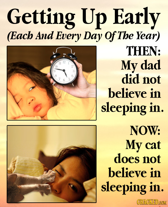 Getting Up Early Each And Every Day of The Year) THEN: 11 My dad did not believe in sleeping in. NOW: My cat does not believe in sleeping in. CRACKEDC