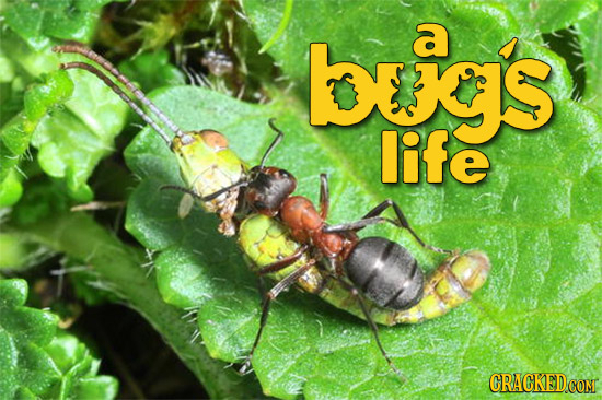 If 40 Famous Movies Had $50 Budgets