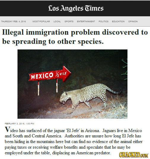 Los Angeles Times THURDAY FEB MOBTPOPULAR LOCAL SPORTE ENTERTAINMENT POLITIC EDUCATION OPINION Illegal immigration problem discovered to be spreading 