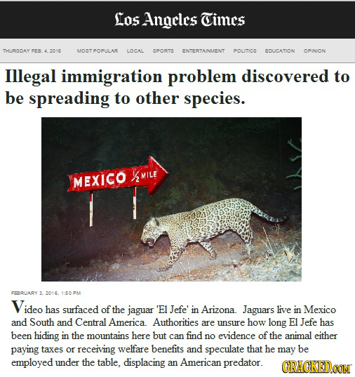 Los Angeles Times THURDAY FEB MOBTPOPULAR LOCAL SPORTE ENTERTAINMENT POLITIC EDUCATION OPINION Illegal immigration problem discovered to be spreading