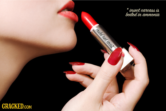 insect carcasd is boiled in ammonia Ctaashed insedt Cus CRACKEDGOM